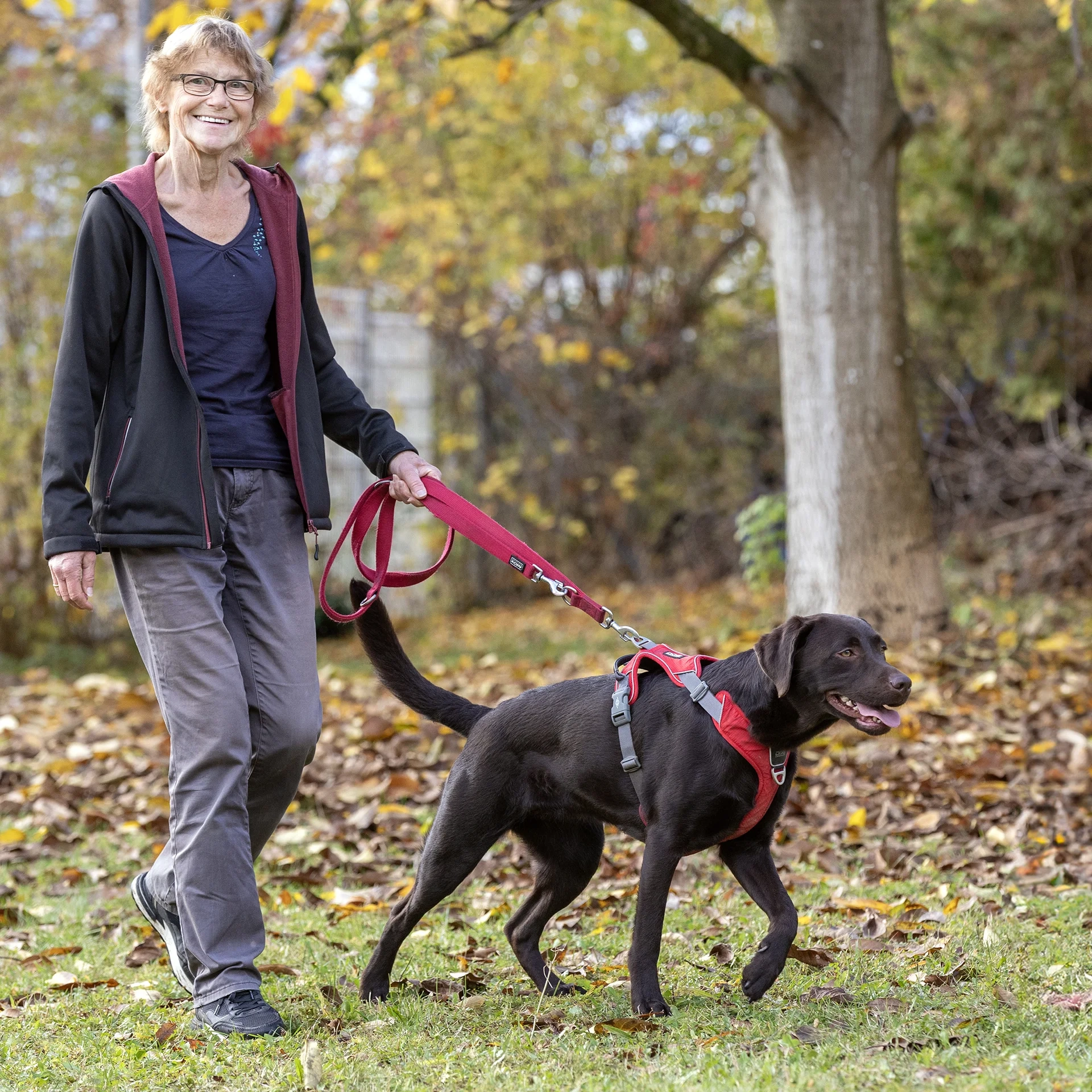 hund-ganz-nah-hundeschule-petra-sievert-einzelcoaching-blob