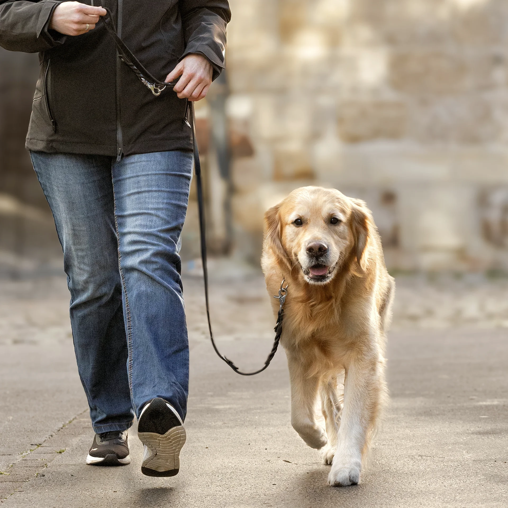 hund-ganz-nah-hundeschule-petra-sievert-fortgeschrittenen-kurs-blob