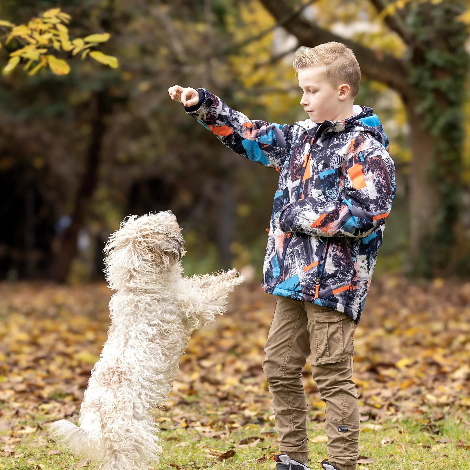 hund-ganz-nah-hundeschule-petra-sievert-spiel-und-denkspass-blob