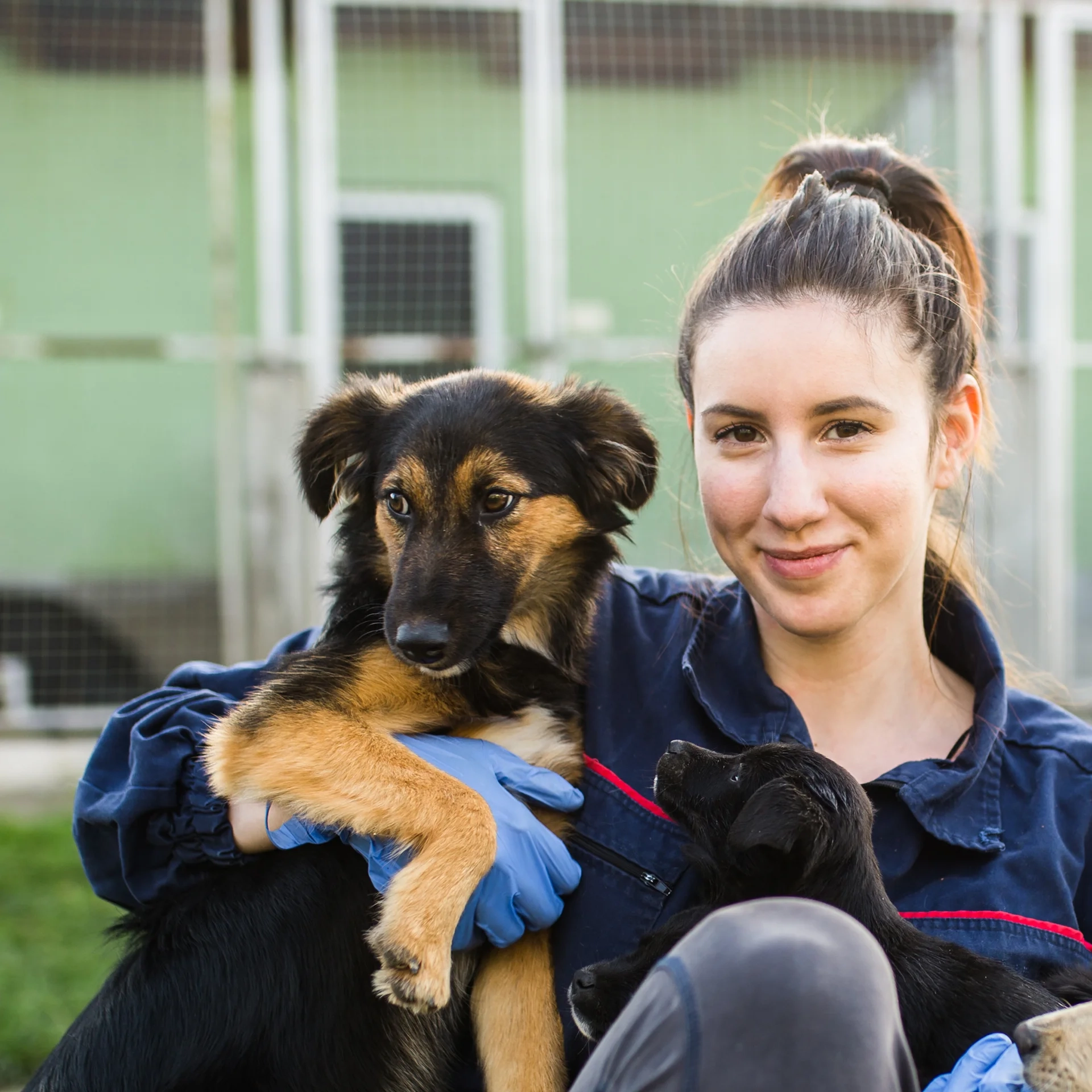 hund-ganz-nah-hundeschule-petra-sievert-tierschutzhunde-blob